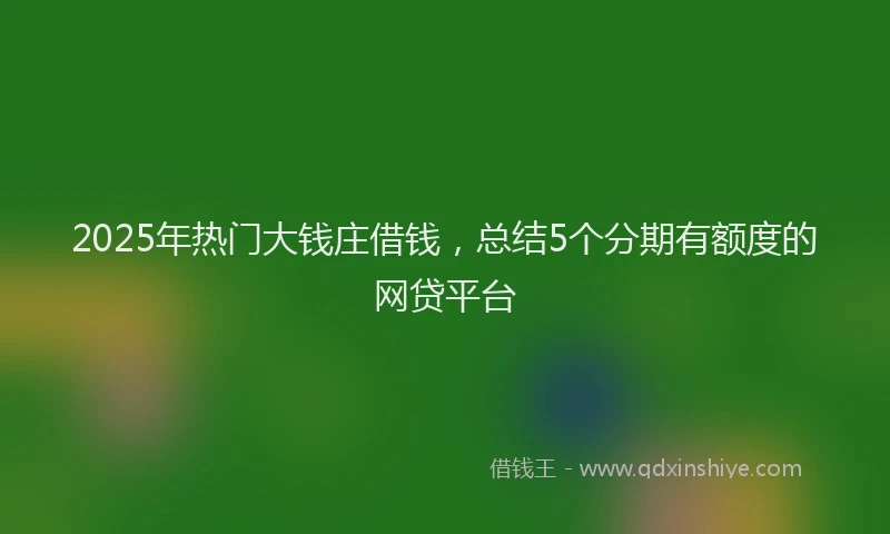 2025年热门大钱庄借钱，总结5个分期有额度的网贷平台