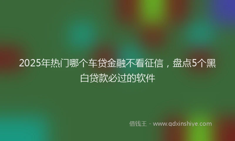 2025年热门哪个车贷金融不看征信，盘点5个黑白贷款必过的软件
