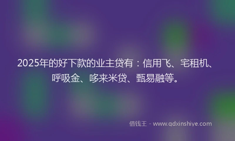 2025年的好下款的业主贷有:信用飞、宅租机、呼吸金、哆来米贷、甄易融等。