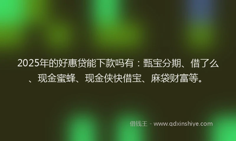 2025年的好惠贷能下款吗有：甄宝分期、借了么、现金蜜蜂、现金侠快借宝、麻袋财富等。