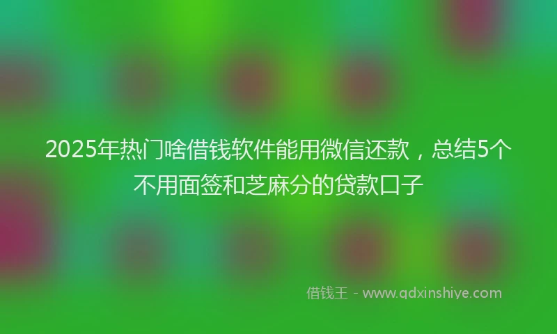 2025年热门啥借钱软件能用微信还款，总结5个不用面签和芝麻分的贷款口子