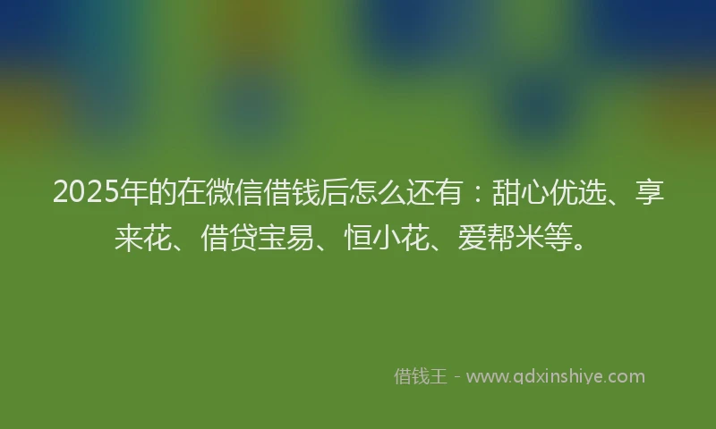 2025年的在微信借钱后怎么还有：甜心优选、享来花、借贷宝易、恒小花、爱帮米等。