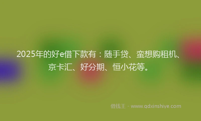 2025年的好e借下款有：随手贷、蛮想购租机、京卡汇、好分期、恒小花等。