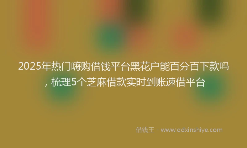 2025年热门嗨购借钱平台黑花户能百分百下款吗，梳理5个芝麻借款实时到账速借平台