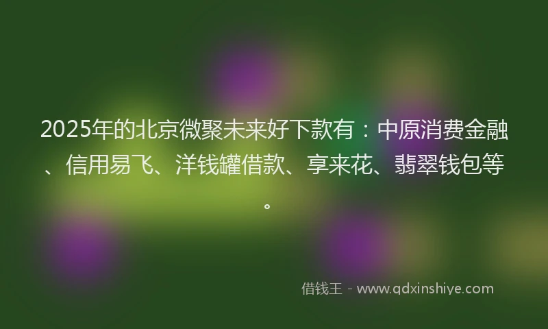 2025年的北京微聚未来好下款有：中原消费金融、信用易飞、洋钱罐借款、享来花、翡翠钱包等。