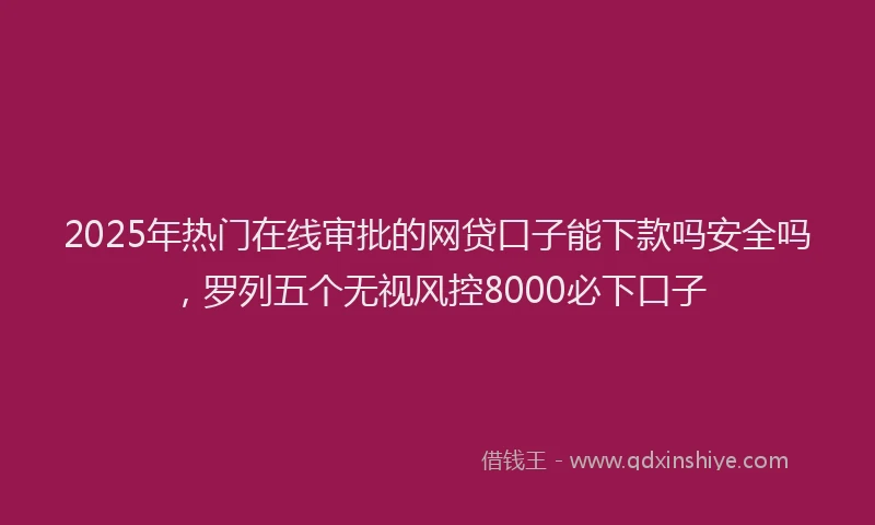2025年热门在线审批的网贷口子能下款吗安全吗，罗列五个无视风控8000必下口子