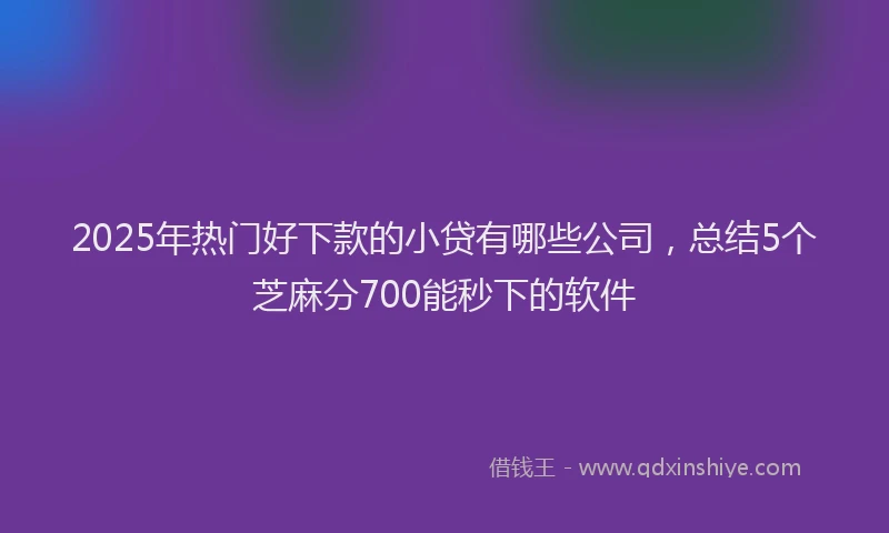 2025年热门好下款的小贷有哪些公司，总结5个芝麻分700能秒下的软件