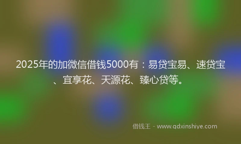 2025年的加微信借钱5000有：易贷宝易、速贷宝、宜享花、天源花、臻心贷等。