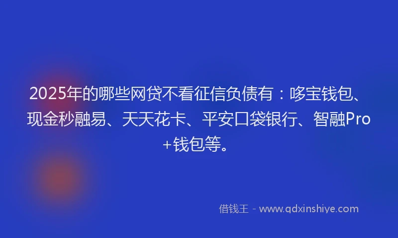 2025年的哪些网贷不看征信负债有：哆宝钱包、现金秒融易、天天花卡、平安口袋银行、智融Pro+钱包等。