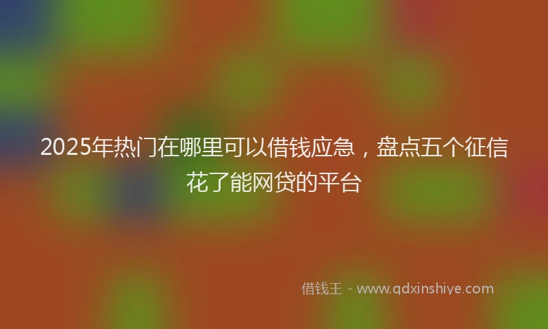 2025年热门在哪里可以借钱应急，盘点五个征信花了能网贷的平台