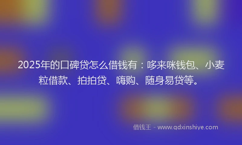 2025年的口碑贷怎么借钱有：哆来咪钱包、小麦粒借款、拍拍贷、嗨购、随身易贷等。