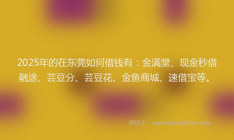 2025年的在东莞如何借钱有：金满堂、现金秒借融途、芸豆分、芸豆花、金鱼商城、速借宝等。