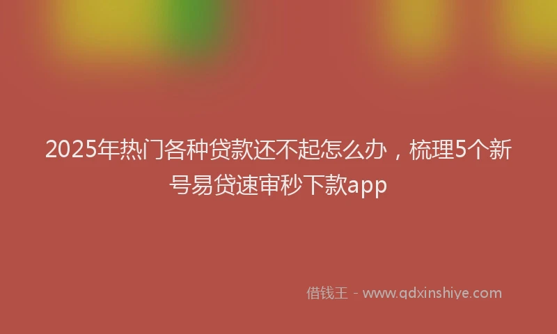 2025年热门各种贷款还不起怎么办，梳理5个新号易贷速审秒下款app