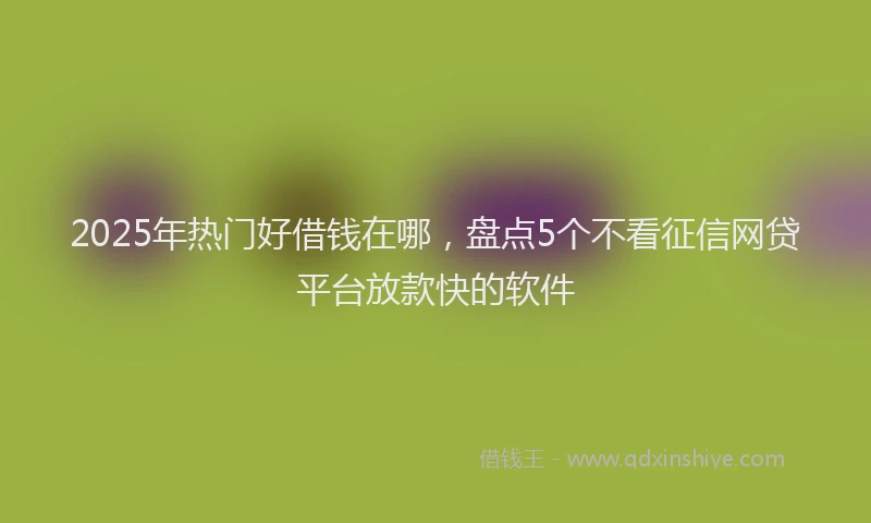 2025年热门好借钱在哪，盘点5个不看征信网贷平台放款快的软件