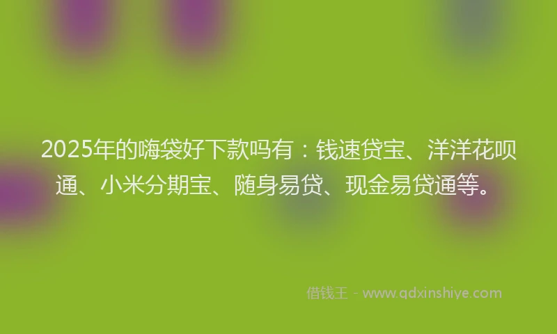 2025年的嗨袋好下款吗有：钱速贷宝、洋洋花呗通、小米分期宝、随身易贷、现金易贷通等。