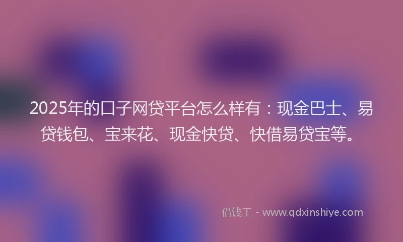 2025年的口子网贷平台怎么样有：现金巴士、易贷钱包、宝来花、现金快贷、快借易贷宝等。