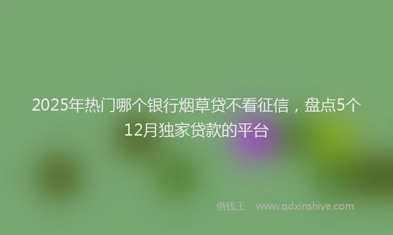 2025年热门哪个银行烟草贷不看征信，盘点5个12月独家贷款的平台