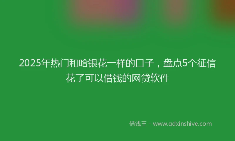 2025年热门和哈银花一样的口子，盘点5个征信花了可以借钱的网贷软件