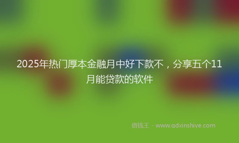 2025年热门厚本金融月中好下款不，分享五个11月能贷款的软件