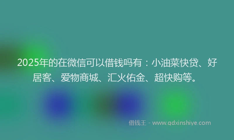 2025年的在微信可以借钱吗有：小油菜快贷、好居客、爱物商城、汇火佑金、超快购等。