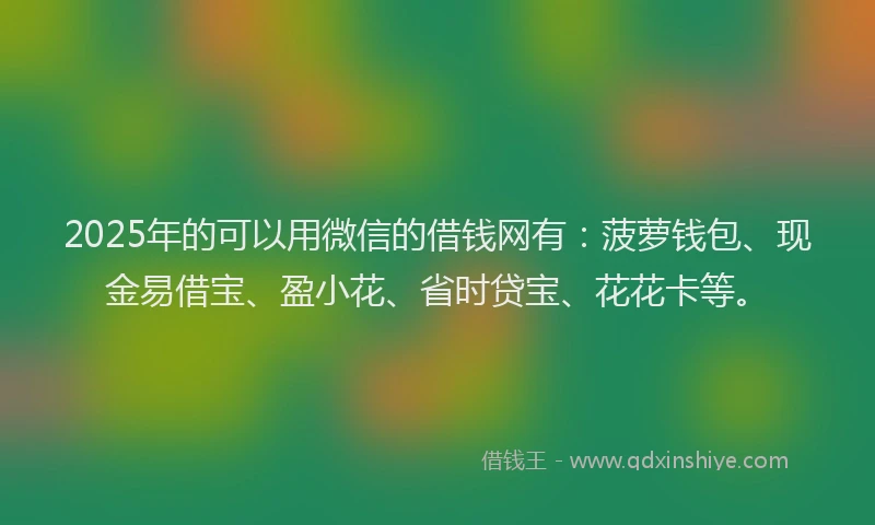 2025年的可以用微信的借钱网有：菠萝钱包、现金易借宝、盈小花、省时贷宝、花花卡等。