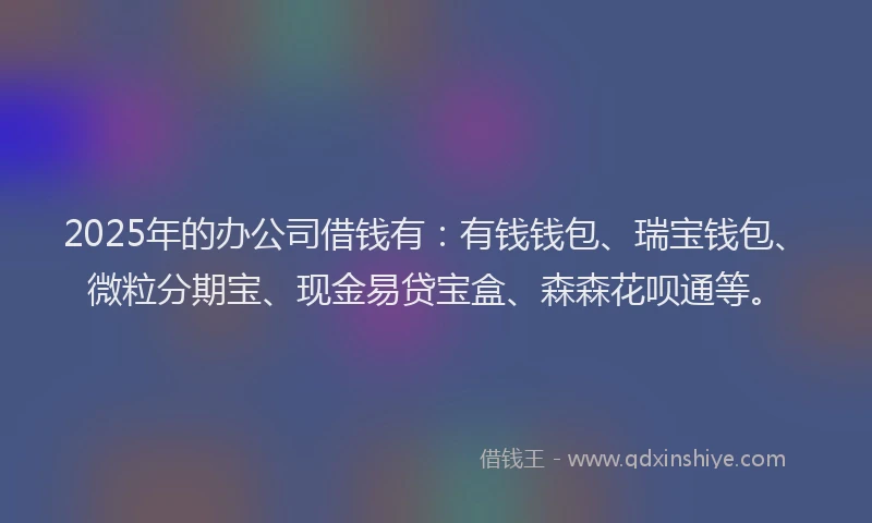 2025年的办公司借钱有：有钱钱包、瑞宝钱包、微粒分期宝、现金易贷宝盒、森森花呗通等。
