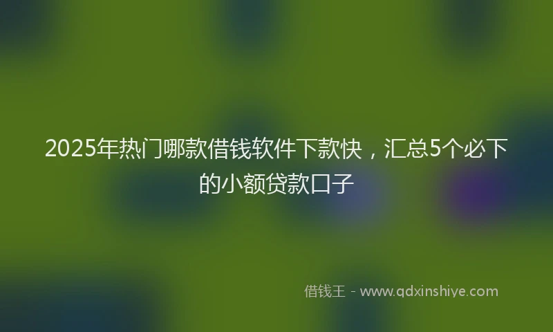 2025年热门哪款借钱软件下款快，汇总5个必下的小额贷款口子
