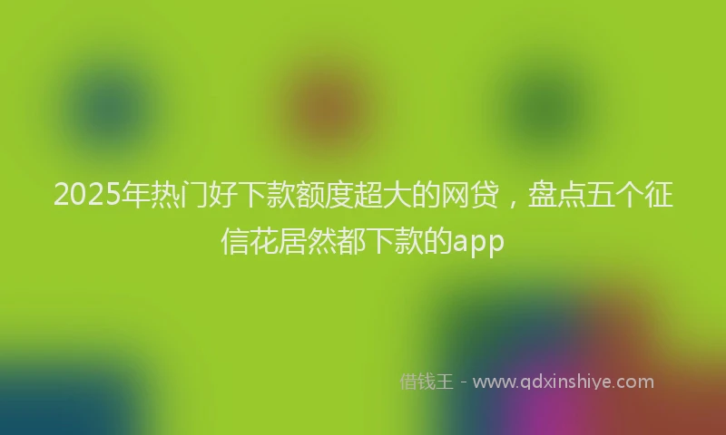 2025年热门好下款额度超大的网贷，盘点五个征信花居然都下款的app