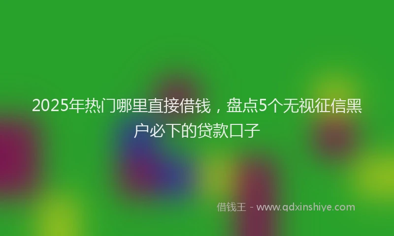 2025年热门哪里直接借钱，盘点5个无视征信黑户必下的贷款口子