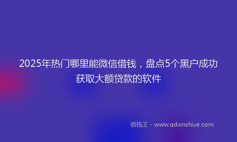 2025年热门哪里能微信借钱，盘点5个黑户成功获取大额贷款的软件