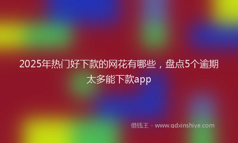 2025年热门好下款的网花有哪些，盘点5个逾期太多能下款app