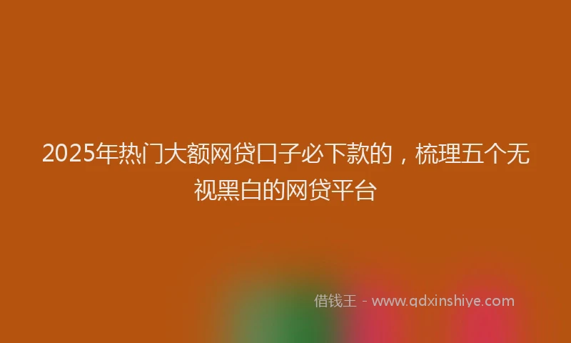 2025年热门大额网贷口子必下款的，梳理五个无视黑白的网贷平台