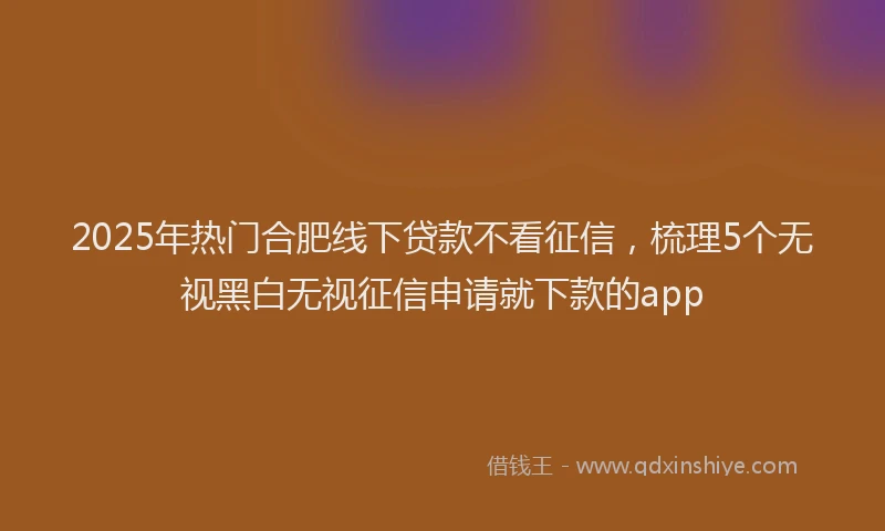 2025年热门合肥线下贷款不看征信，梳理5个无视黑白无视征信申请就下款的app