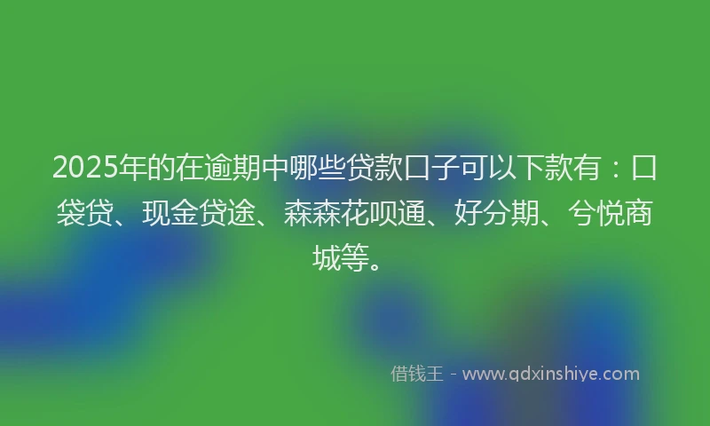 2025年的在逾期中哪些贷款口子可以下款有：口袋贷、现金贷途、森森花呗通、好分期、兮悦商城等。