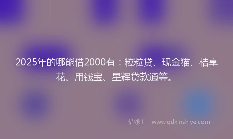 2025年的哪能借2000有：粒粒贷、现金猫、桔享花、用钱宝、星辉贷款通等。