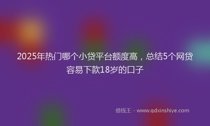2025年热门哪个小贷平台额度高，总结5个网贷容易下款18岁的口子