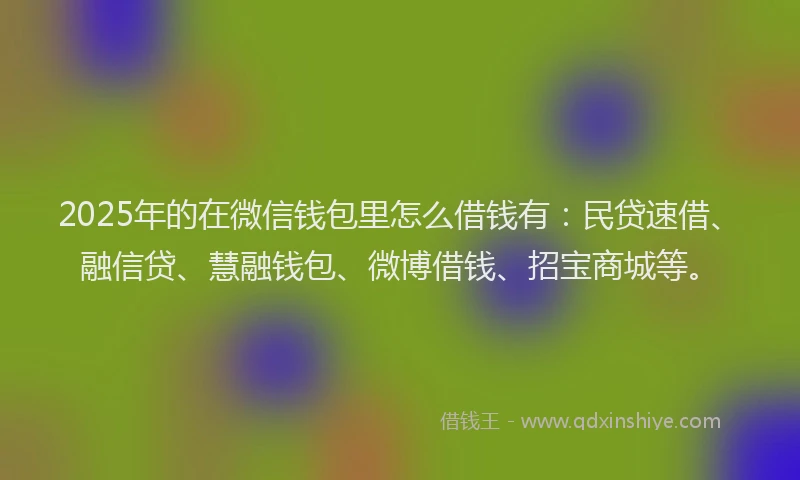 2025年的在微信钱包里怎么借钱有：民贷速借、融信贷、慧融钱包、微博借钱、招宝商城等。