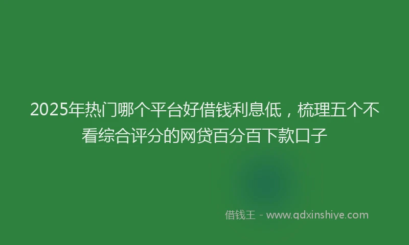2025年热门哪个平台好借钱利息低，梳理五个不看综合评分的网贷百分百下款口子