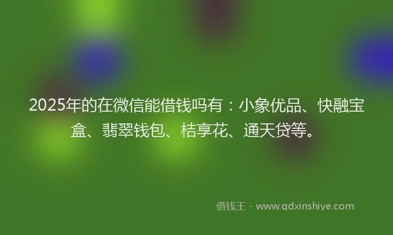 2025年的在微信能借钱吗有：小象优品、快融宝盒、翡翠钱包、桔享花、通天贷等。