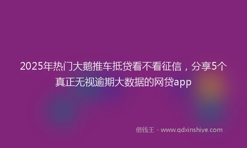 2025年热门大鹅推车抵贷看不看征信，分享5个真正无视逾期大数据的网贷app