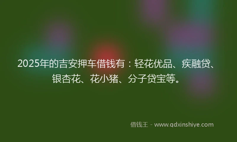 2025年的吉安押车借钱有：轻花优品、疾融贷、银杏花、花小猪、分子贷宝等。
