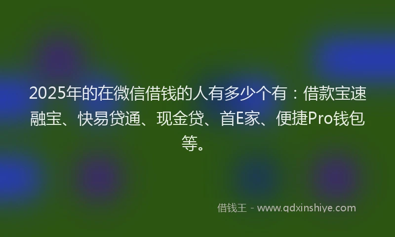 2025年的在微信借钱的人有多少个有：借款宝速融宝、快易贷通、现金贷、首E家、便捷Pro钱包等。