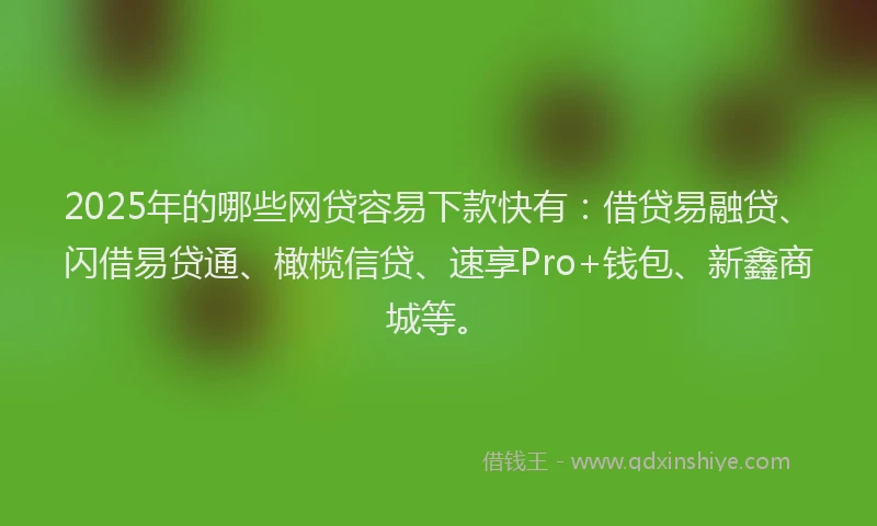 2025年的哪些网贷容易下款快有：借贷易融贷、闪借易贷通、橄榄信贷、速享Pro+钱包、新鑫商城等。