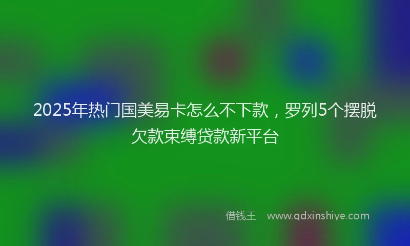 2025年热门国美易卡怎么不下款，罗列5个摆脱欠款束缚贷款新平台