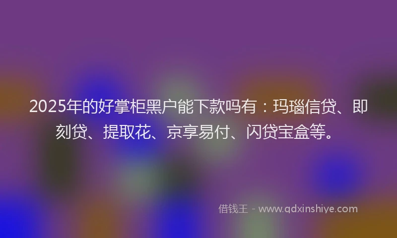 2025年的好掌柜黑户能下款吗有：玛瑙信贷、即刻贷、提取花、京享易付、闪贷宝盒等。