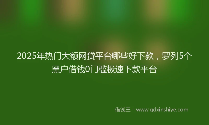 2025年热门大额网贷平台哪些好下款，罗列5个黑户借钱0门槛极速下款平台