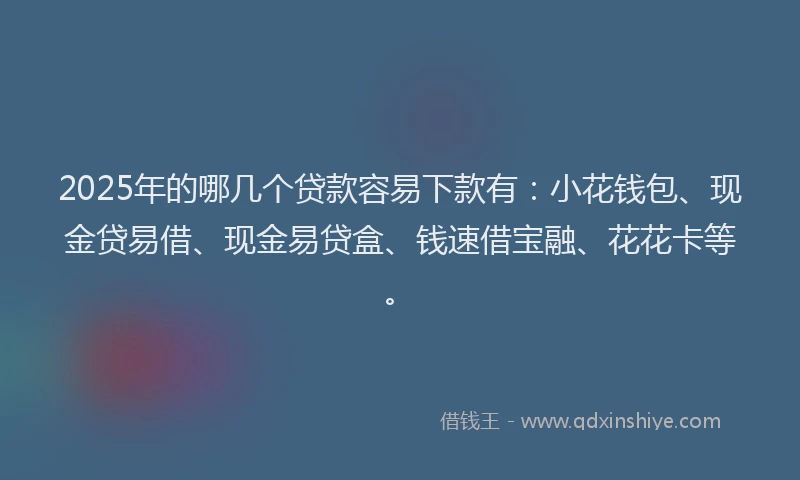 2025年的哪几个贷款容易下款有：小花钱包、现金贷易借、现金易贷盒、钱速借宝融、花花卡等。