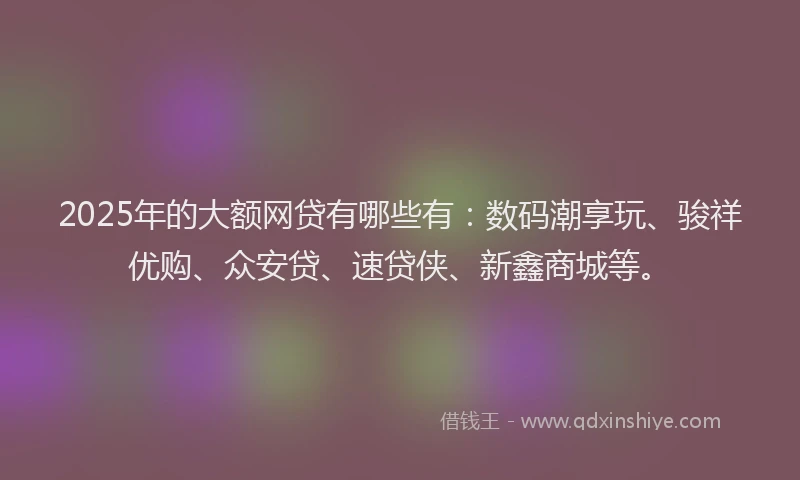 2025年的大额网贷有哪些有：数码潮享玩、骏祥优购、众安贷、速贷侠、新鑫商城等。