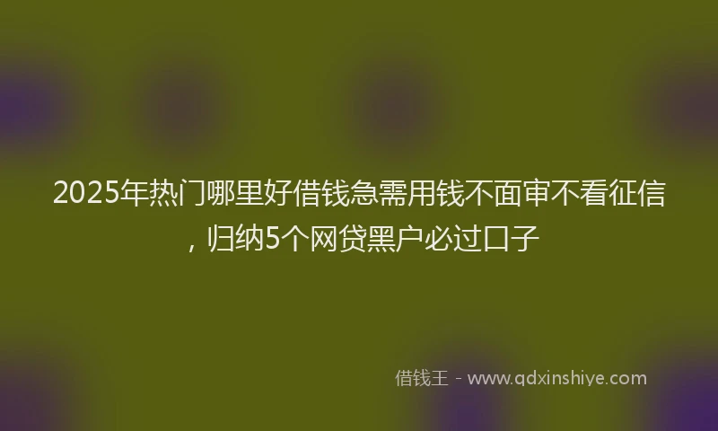 2025年热门哪里好借钱急需用钱不面审不看征信，归纳5个网贷黑户必过口子