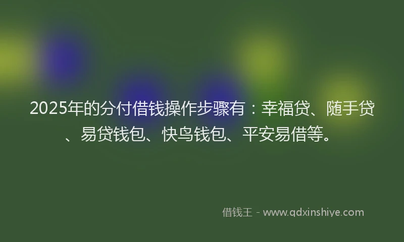 2025年的分付借钱操作步骤有：幸福贷、随手贷、易贷钱包、快鸟钱包、平安易借等。